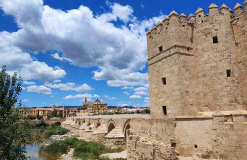 Apartamento Alcázar San Basilio - Foto 20