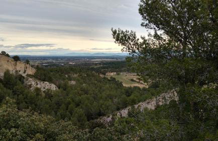 Le Mazet de la pointe dans les Alpilles avec piscine et jardin - Foto 38