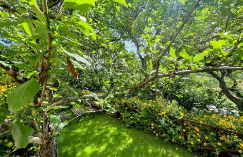 Luxurious Umbrian Retreat for 10 With Private Terrace and Pool - Foto 155