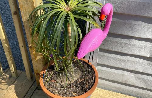 Tropical Studio Retreat with Great WiFi and EV charging - Photo 9