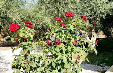 Alexandros Stone House - Foto 32