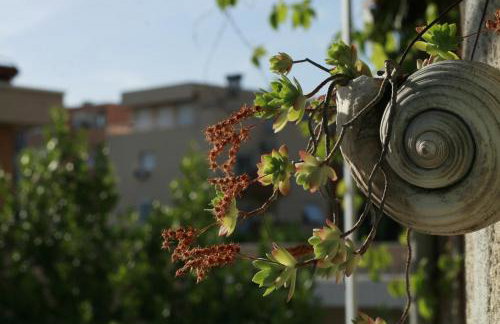 Spacious apartment in the center - Foto 17