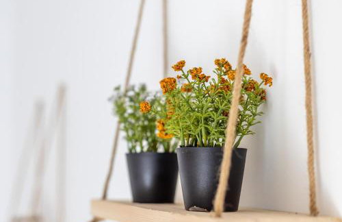 AKTI APOLLONA - Photo 54