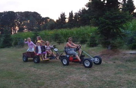 Ferienhof Heidemann - Foto 19