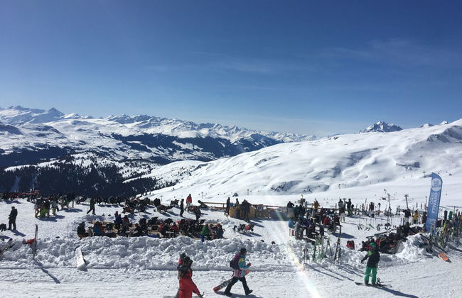 Schumellins (LAA400) - Foto 31