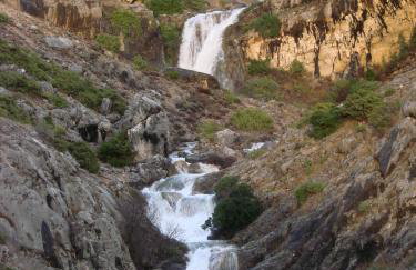 Studio Apartment Maslina - Photo 44