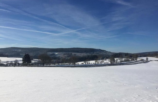 Mansion in Spa Liege With Private Garden - Photo 37