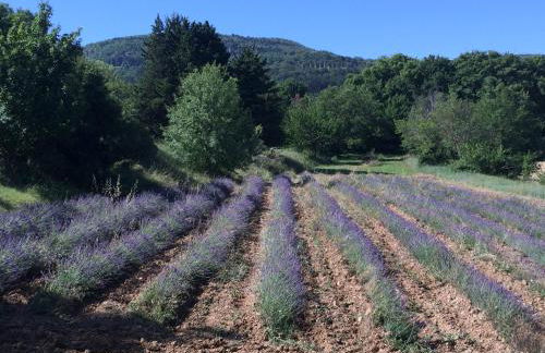 Château de Peyrolles - Photo 70