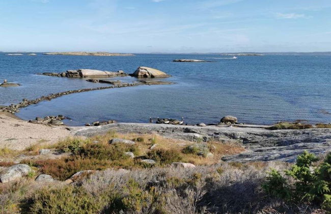 First Camp Lilleby - Photo 38