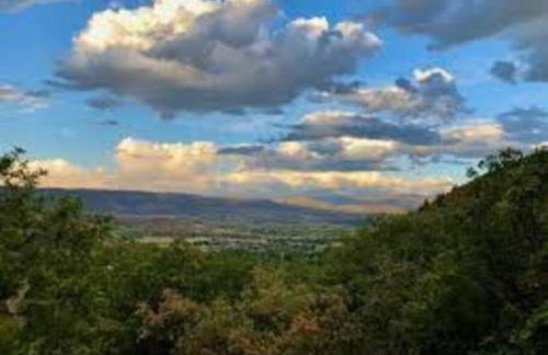 Midway to Heaven! BRAND NEW 5 bed 4.5 bath, HOTTUB - Photo 40