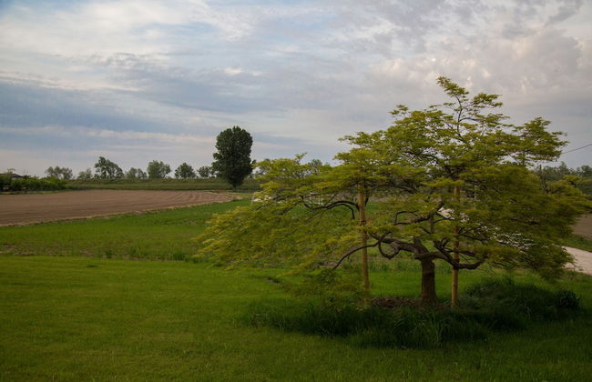 Country House Campofiore - Foto 60