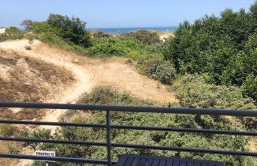 Les pieds dans le sable - Foto 10