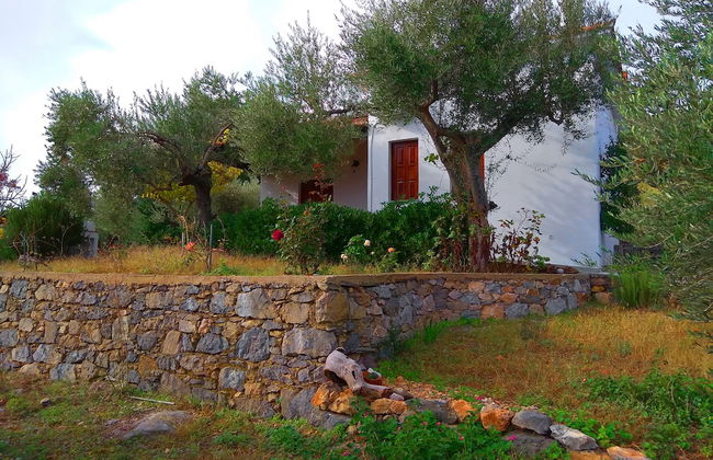 Flower Houses - Foto 43