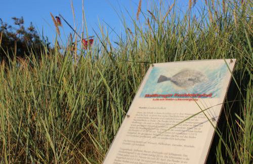 Ostseehaus Oe - Foto 17