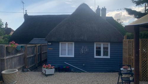 The Shack - Thatched Self Contained Annex - Foto 2, Garden