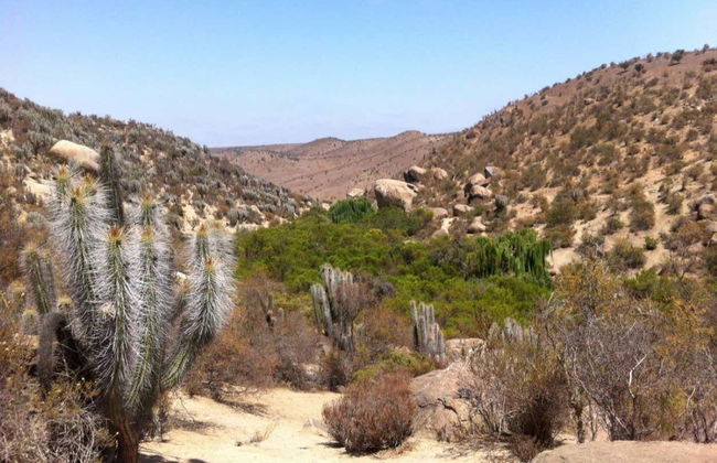 Valle del Encanto Tour - Photo 1