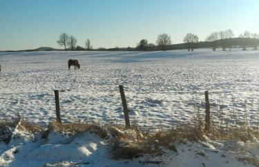 Le Grenier du Moulin - Foto 30