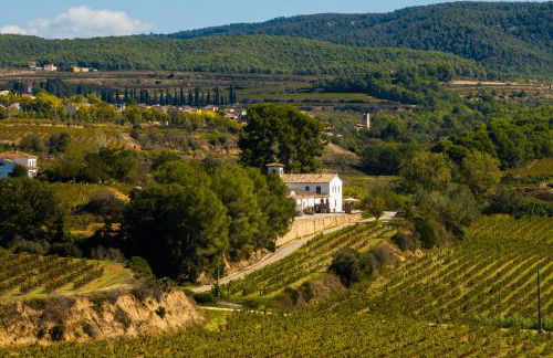 Mas Grimosach - Masía en finca y bodega ecológica - Adults Only - Foto 15