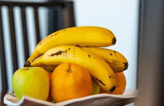 Finca Stemann - Foto 64