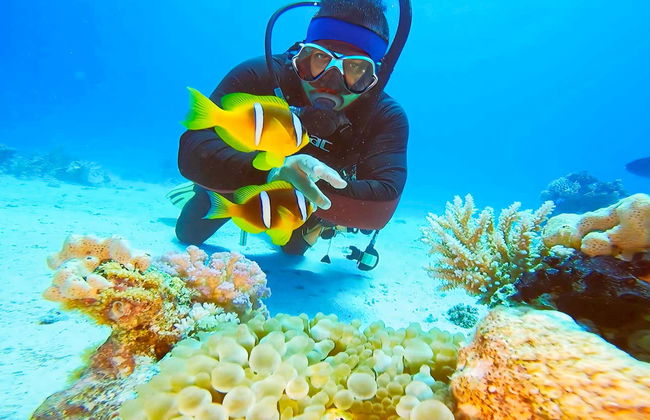 Bautismo de buceo en el Mar Rojo - Foto 17