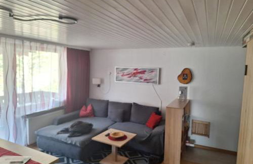 Gemütliche Ferienwohnung in Sankt Blasien - Foto 10