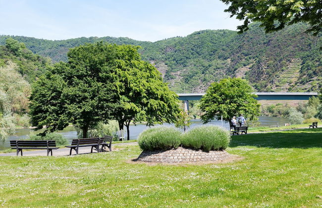 Haus Junge Traube - Photo 40