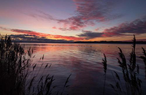 Hoeft Residenz Alt Reddevitz - Foto 33