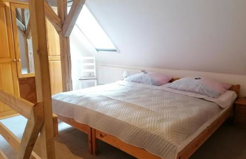 Boddenhus auf Rügen - Ferienwohnungen und Pension - Foto 26