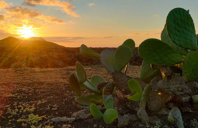 Tour del Parco Naturale dei Vulcani in bici - Foto 6