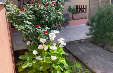 Casa I Corbezzoli - Paduledda - Isola Rossa - Foto 50