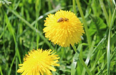 Haus Erlenmoos - Foto 21