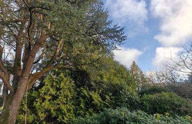 Kerarmel - Photo 2