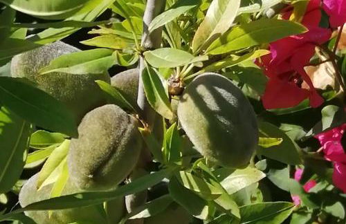 Sogno Mediterraneo Pula Sardegna villa a soli 300 mt dal mare - Foto 16