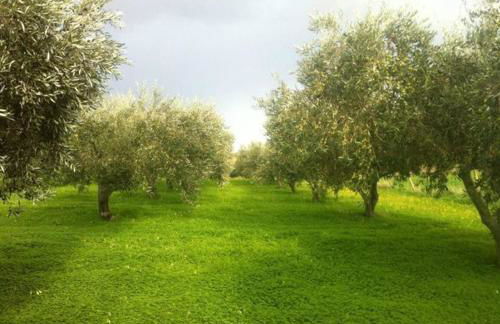 Ridocco Agriturismo - Foto 73