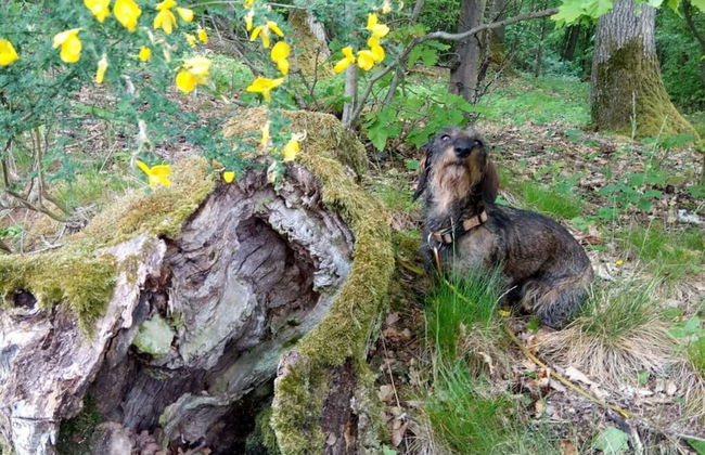 Holiday Apartment Lautertalblick - Photo 19