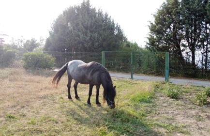 casa di nunzia - Foto 6