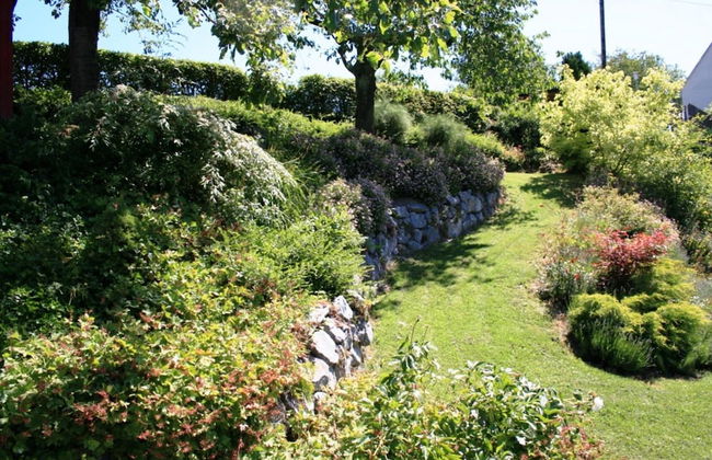 Apartment in Willingen Near Ski Slopes - Photo 9