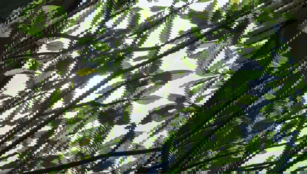 Vistas desde el alojamiento