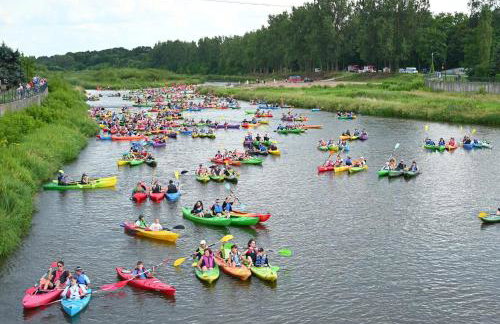 Uroczysko Lubiaszów - Foto 19