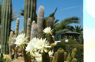 Residence Cala dei Peducelli - Foto 25