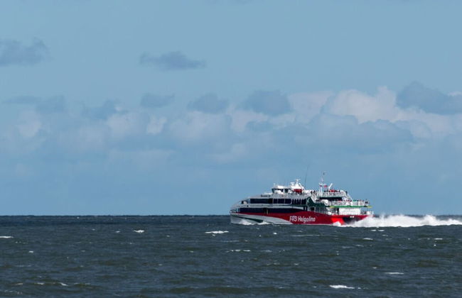 Holiday Home North Sea Sand - Foto 8