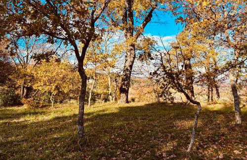 Antica Fiera - Foto 14