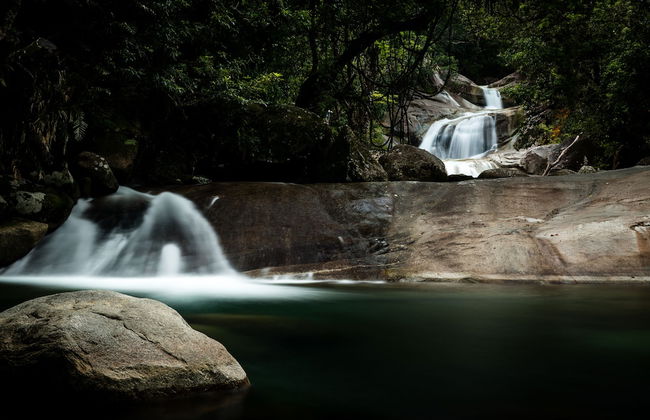 The Canopy Rainforest Treehouses and Wildlife Sanctuary - Foto 15