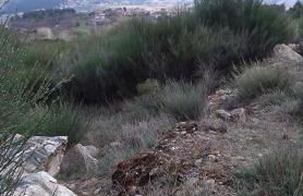 Casinha de Lamares - Foto 8