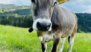 Ferienwohnung Amethyst - Foto 5