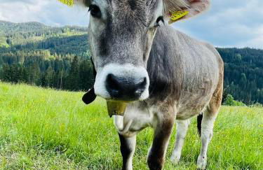 Ferienwohnung Amethyst - Photo 5