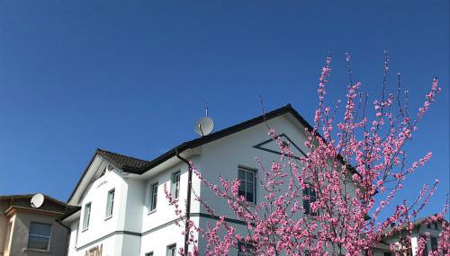 Apartmenthaus Aurum - Foto 3