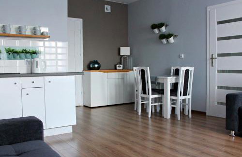 Apartamenty w Kamienicy - Foto 6