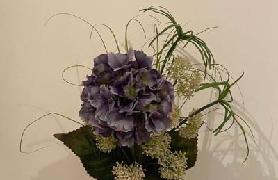 Alojamento JCP - Photo 28