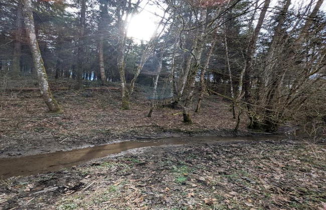 Holiday Home in Somme-leuze With Pool & Sauna - Foto 36